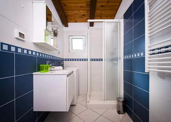 Διαμέρισμα Rm Pusta Ρόβινι